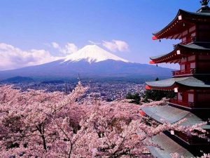 همه چیز درباره ژاپن کشور زیبایی های افسانه ای